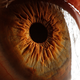 Illustration for article titled Extreme close-ups of human eyes look like craters on Mars